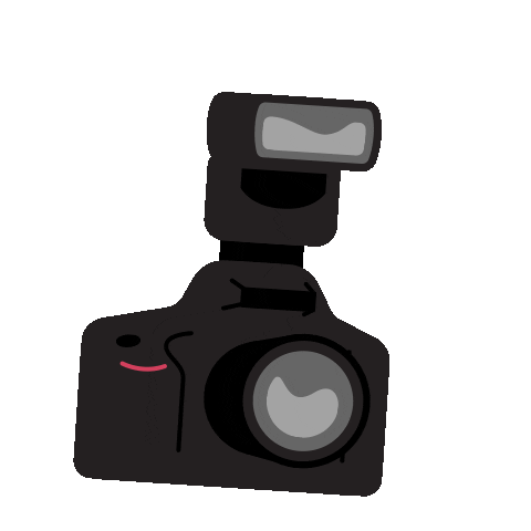 camera flashing