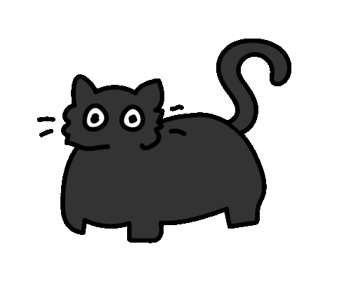 black cat