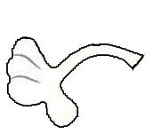 left arm