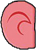 pink ear