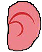 pink ear